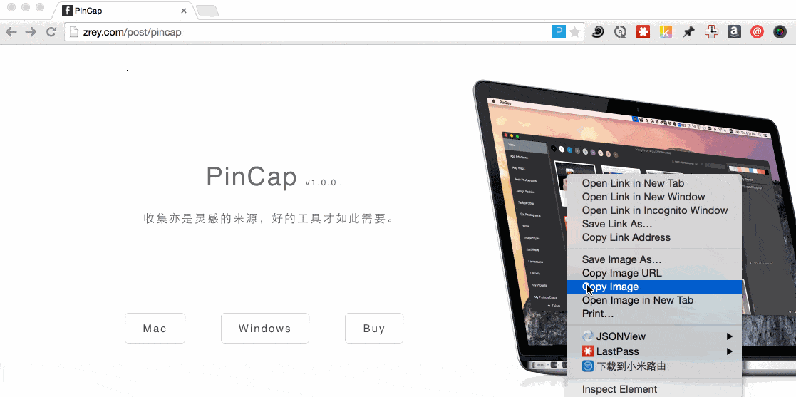 PinCap(网页图片云储存)绿色版 V1.5.1.7
